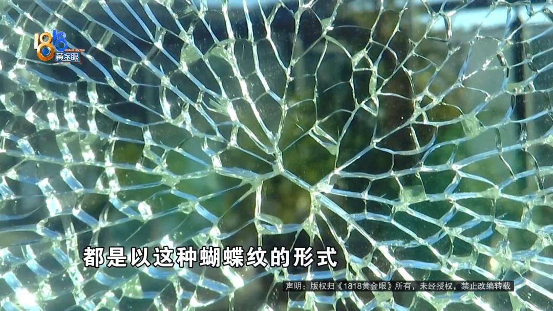 投入近500万做民宿<strong></p>
<p>大众交通股票</strong>，近30万装落地玻璃，怎么碎成这样？