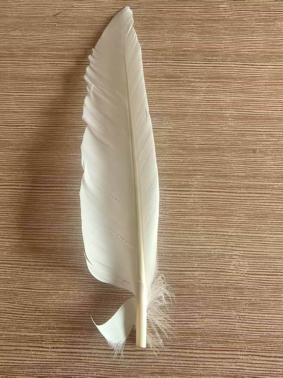 羽毛球又又又涨价<strong></p>
<p>大众交通股票</strong>，球友破防：月花三千扛不住，打球人的天塌了