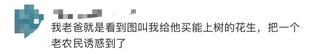 “花生上树”闹剧:AI翻车背后<strong></p>
<p>选股票</strong>,我们都在弄丢常识?