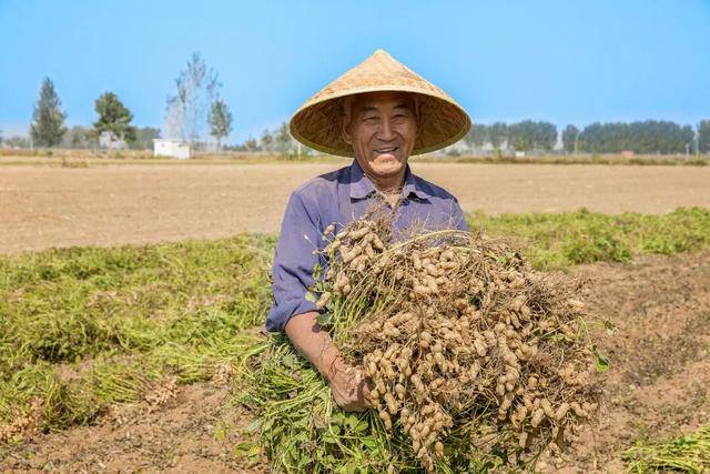 “花生上树”闹剧:AI翻车背后<strong></p>
<p>选股票</strong>,我们都在弄丢常识?