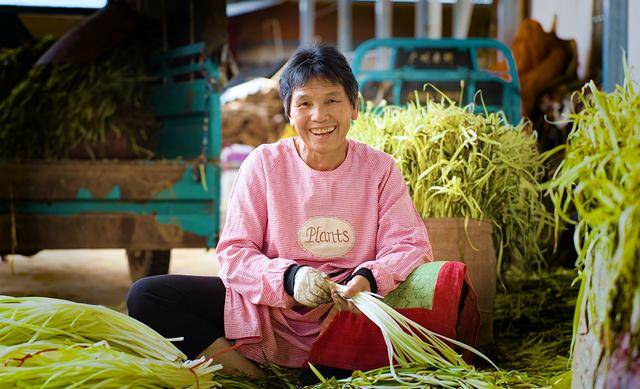 弥勒“新哨经验”<strong></p>
<p>兴森科技股票</strong>，全州推广！