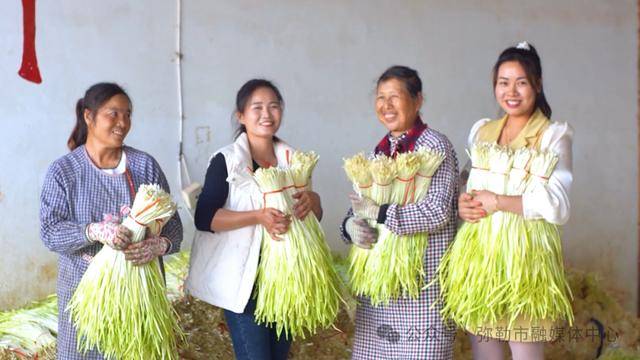 弥勒“新哨经验”<strong></p>
<p>兴森科技股票</strong>，全州推广！