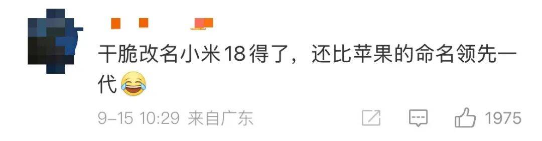 雷军：全面对标iPhone<strong></p>
<p>好当家股票</strong>，正面迎战！小米宣布跳过16系列，直接发布17