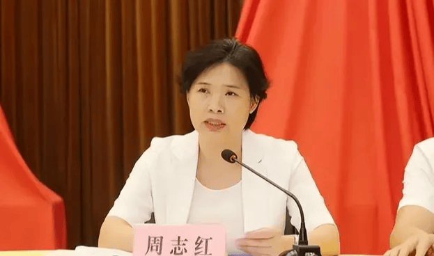 中共中央批准<strong></p>
<p>好当家股票</strong>，开除周志红党籍