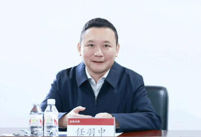 北大副校长任羽中<strong></p>
<p>万达电影股票</strong>，主动投案