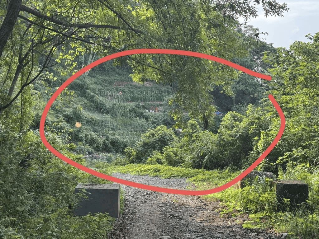 杭州女子误踩“化骨水”身亡<strong></p>
<p>怡亚通股票</strong>，当地：已锁定化学品所有者，发现三桶，一桶完整，两桶残余