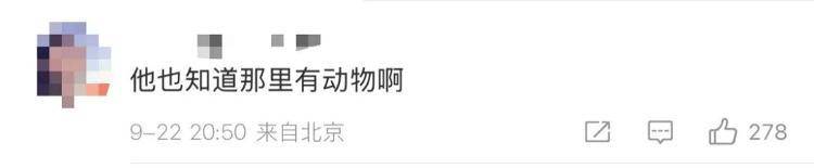 “感谢大家支持我大闹天宫……”蔡国强烟花秀现场感言视频披露<strong></p>
<p>股票收益</strong>，又遭质疑！