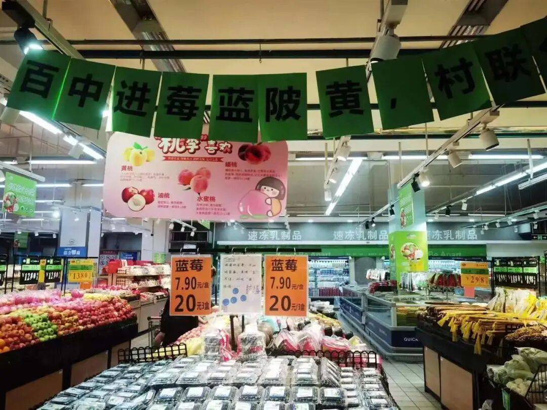 国企联村·强村富民｜一颗蓝莓激活乡村振兴<strong></p>
<p>雷柏科技股票</strong>，书写荒坡变宝地新篇