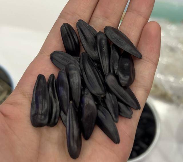 紫色向日葵、多彩胡萝卜、双色火龙果亮相青岛<strong></p>
<p>雷柏科技股票</strong>，种子盛会变身“未来食物实验室”