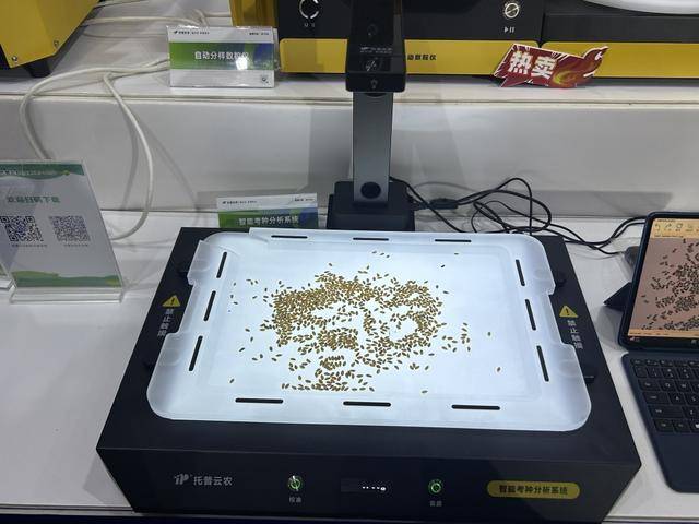 紫色向日葵、多彩胡萝卜、双色火龙果亮相青岛<strong></p>
<p>雷柏科技股票</strong>，种子盛会变身“未来食物实验室”