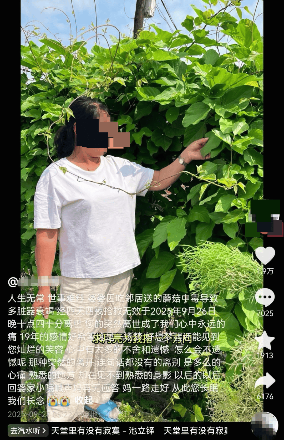 网红发文悼念婆婆：吃了邻居送的蘑菇中毒<strong></p>
<p>柳工股票</strong>，抢救四天四夜死亡！这些蘑菇避毒原则可能是陷阱→