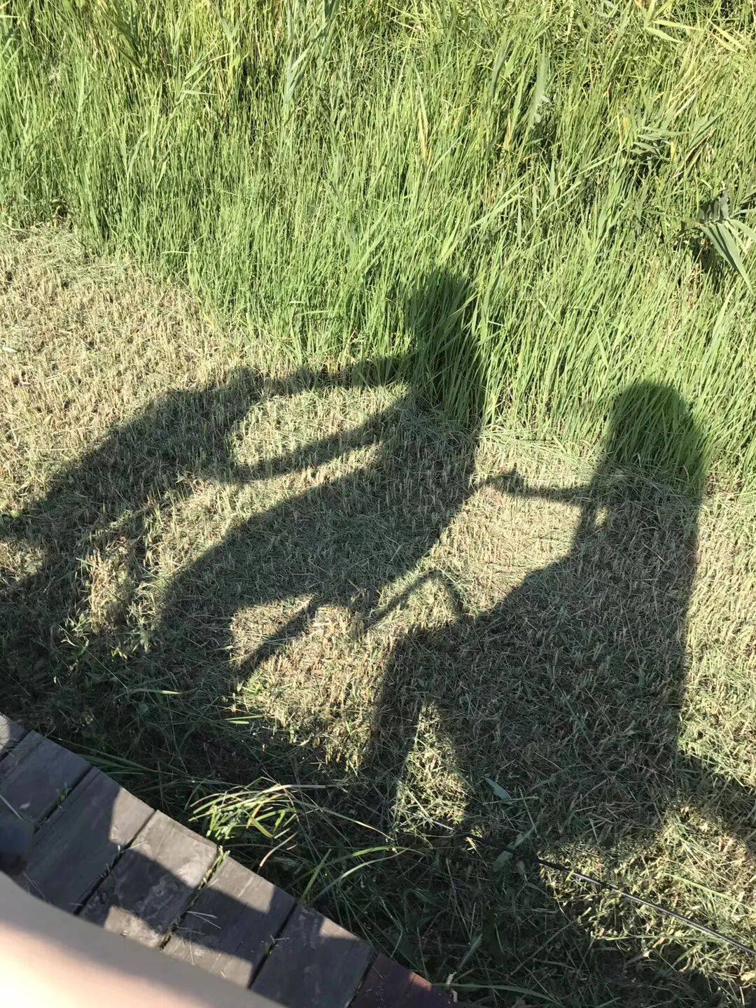 纸质火车票退场<strong></p>
<p>内蒙华电股票</strong>，每道折痕里都藏着远方、爱情与山河记忆