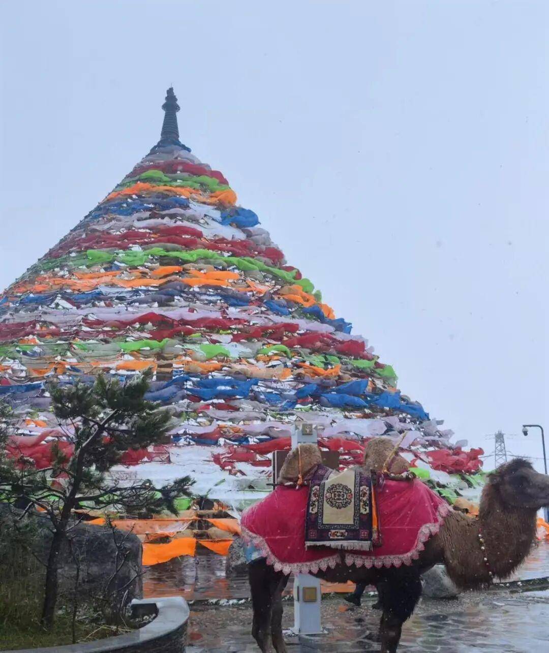 多地突降大雪<strong></p>
<p>粤传媒股票</strong>！