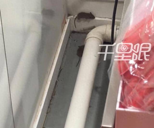 网曝蜜雪冰城一门店有多只老鼠横行<strong></p>
<p>粤传媒股票</strong>，涉事门店员工回应