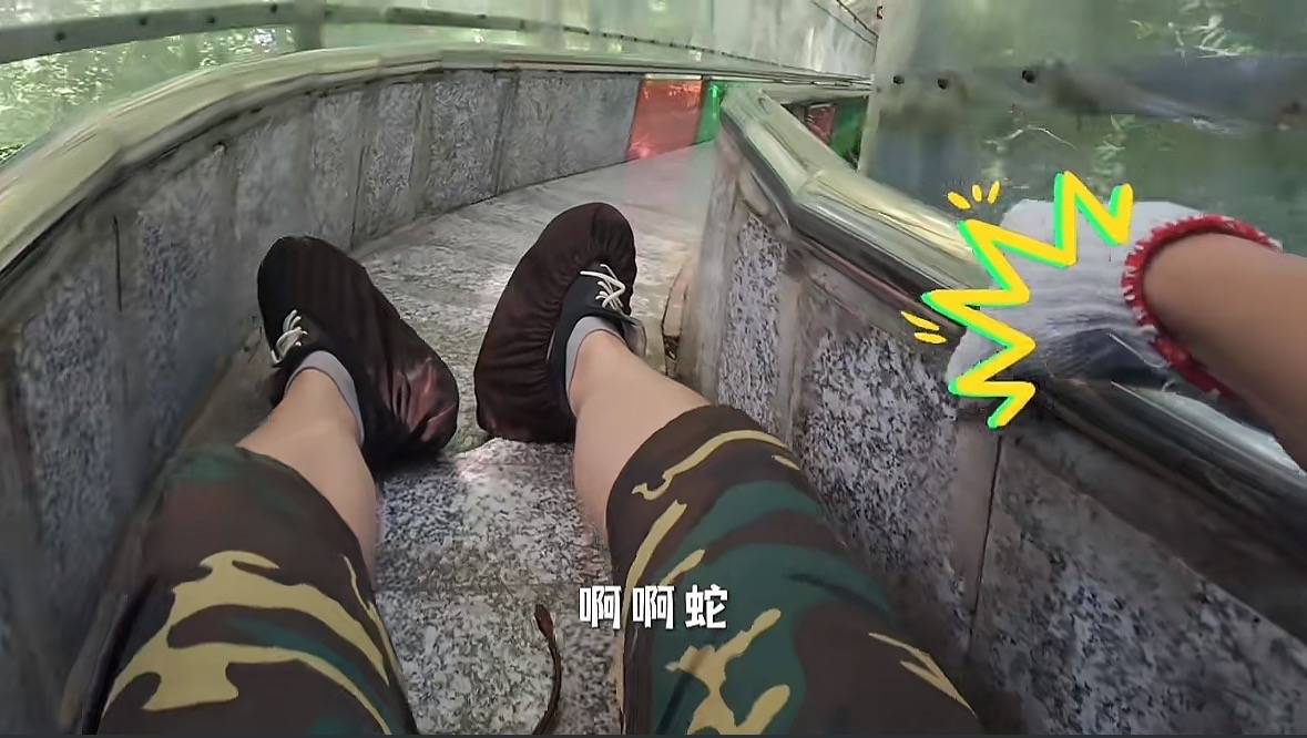 游客称在广西丹炉山滑道遇蛇<strong></p>
<p>荣盛发展股票</strong>,景区致歉:这么多年就这一次,每年都做防蛇处理