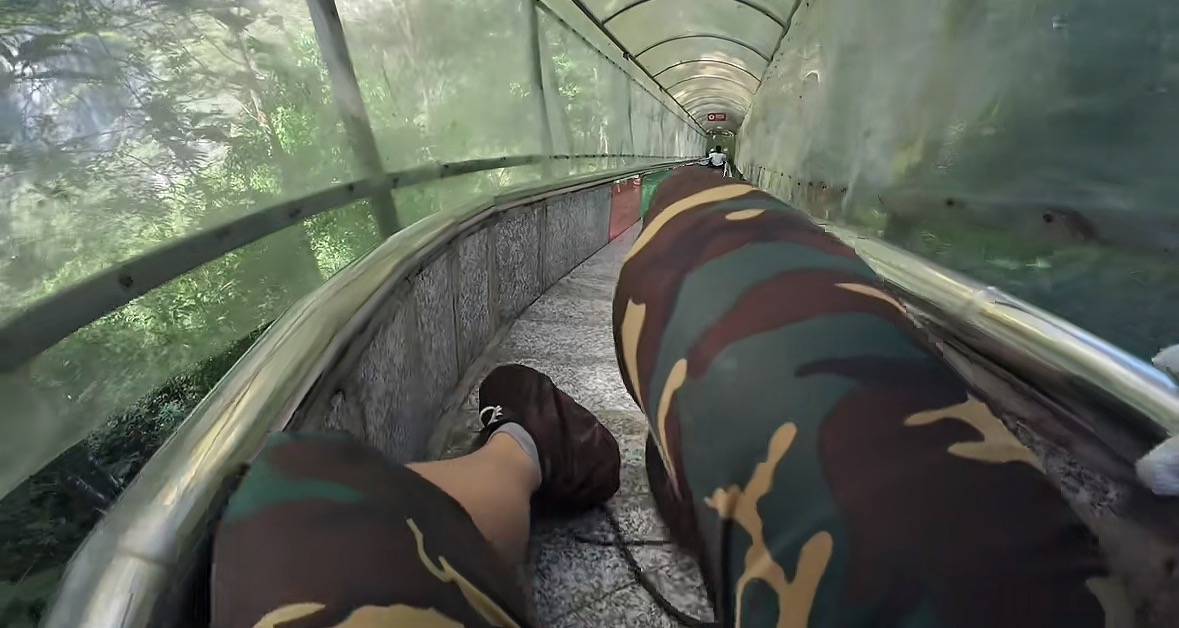 游客称在广西丹炉山滑道遇蛇<strong></p>
<p>荣盛发展股票</strong>,景区致歉:这么多年就这一次,每年都做防蛇处理