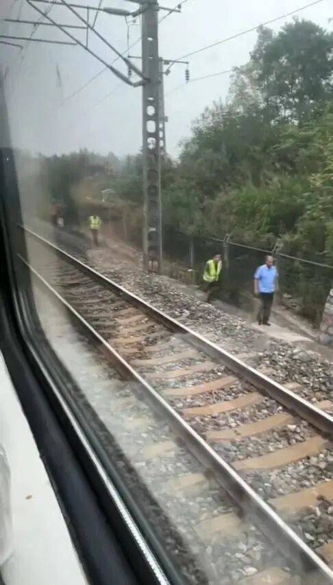 湖北一列车撞上野猪致停运<strong></p>
<p>广联达股票</strong>,铁路局:野猪已无害化处理,列车正常运行;附近曾发生多起野猪伤人事件