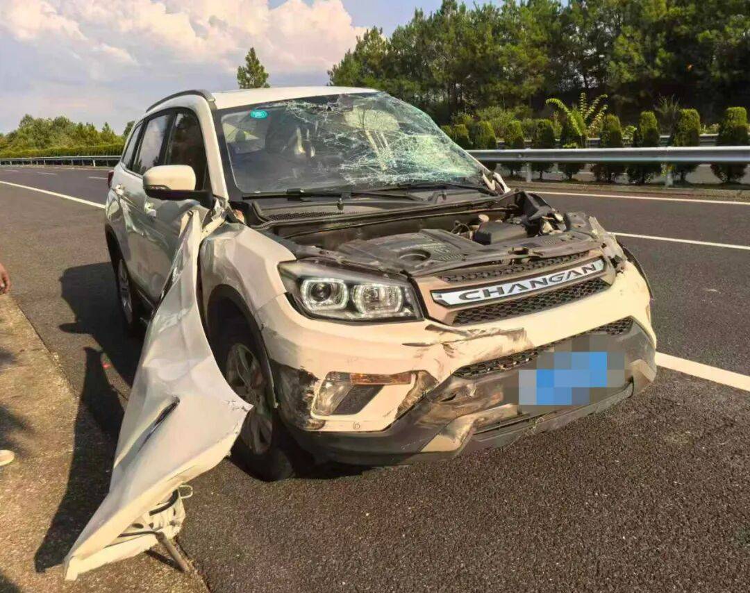 “我撒谎天打雷劈!”男子高速突然强行变道致翻车<strong></p>
<p>广联达股票</strong>,反诬赖对方
