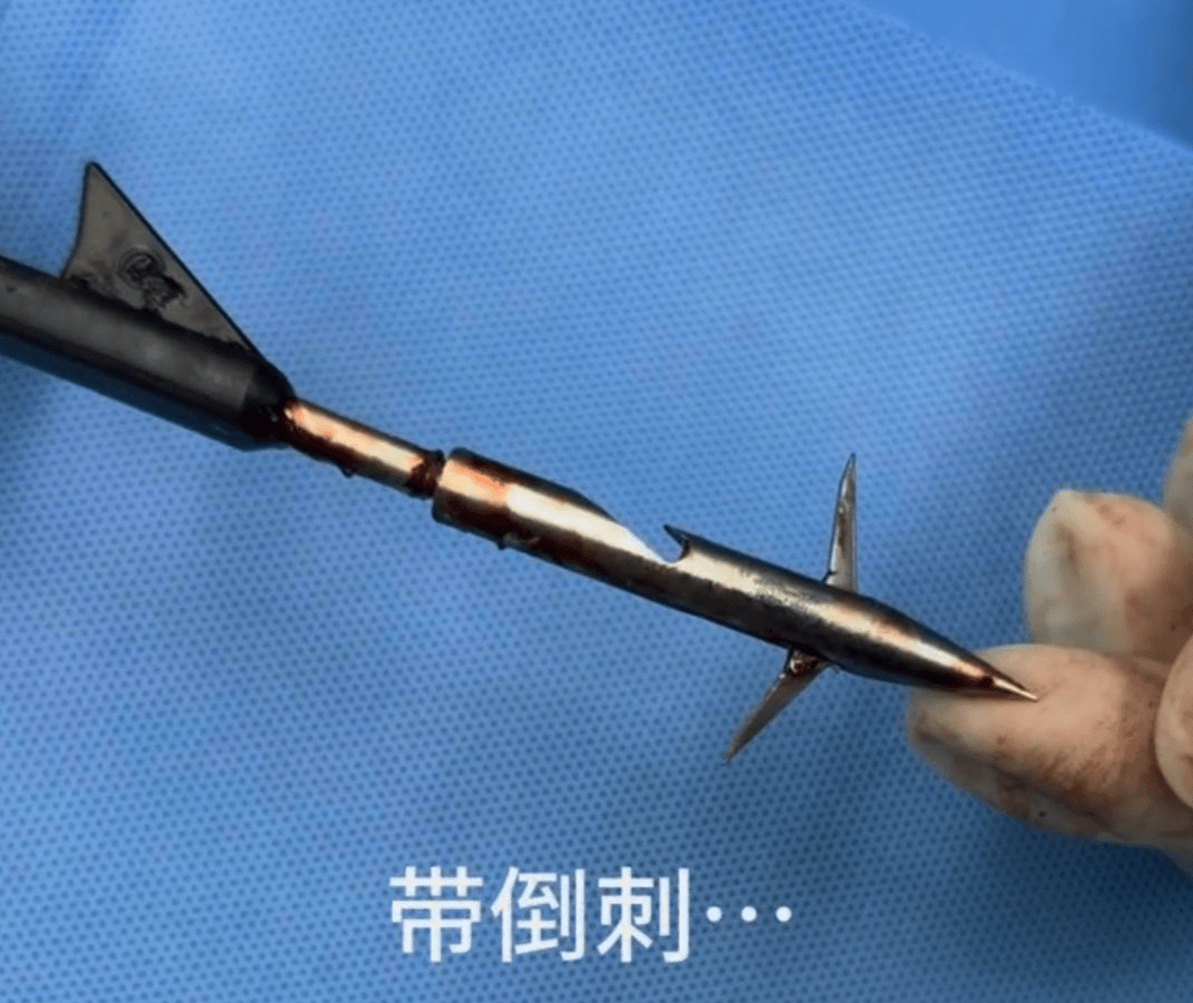 教育局回应“一教师用弓箭射杀小狗”:不实<strong></p>
<p>广联达股票</strong>,小狗进学校前就被射伤