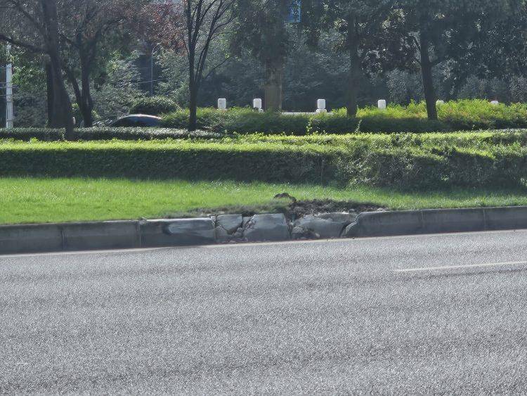 成都发生一起严重交通事故<strong></p>
<p>海南发展股票</strong>,上游新闻实地探访:燃烧留下的印记仍在