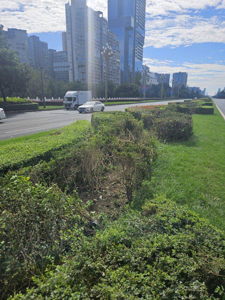 成都发生一起严重交通事故<strong></p>
<p>海南发展股票</strong>,上游新闻实地探访:燃烧留下的印记仍在