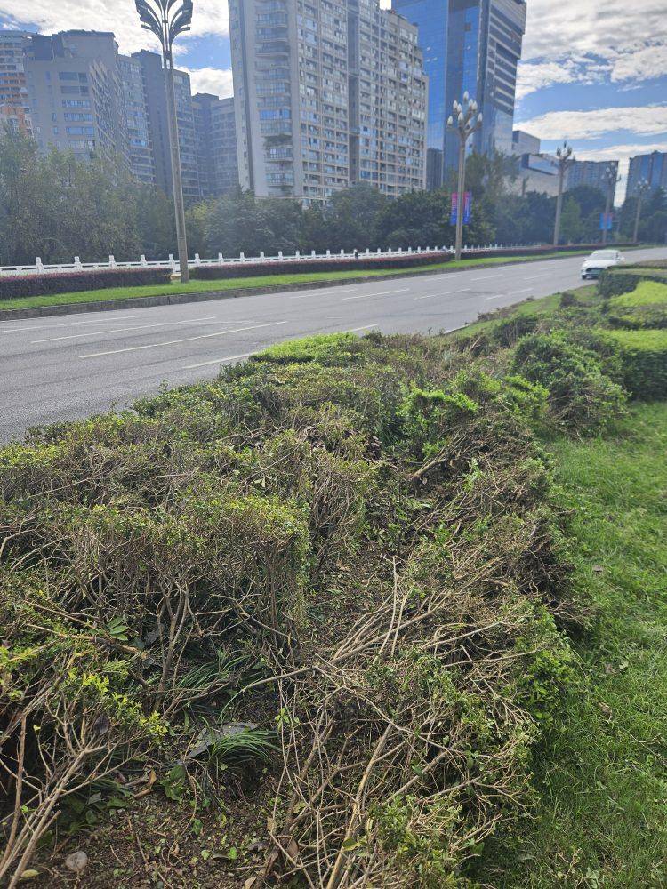 成都发生一起严重交通事故<strong></p>
<p>海南发展股票</strong>,上游新闻实地探访:燃烧留下的印记仍在