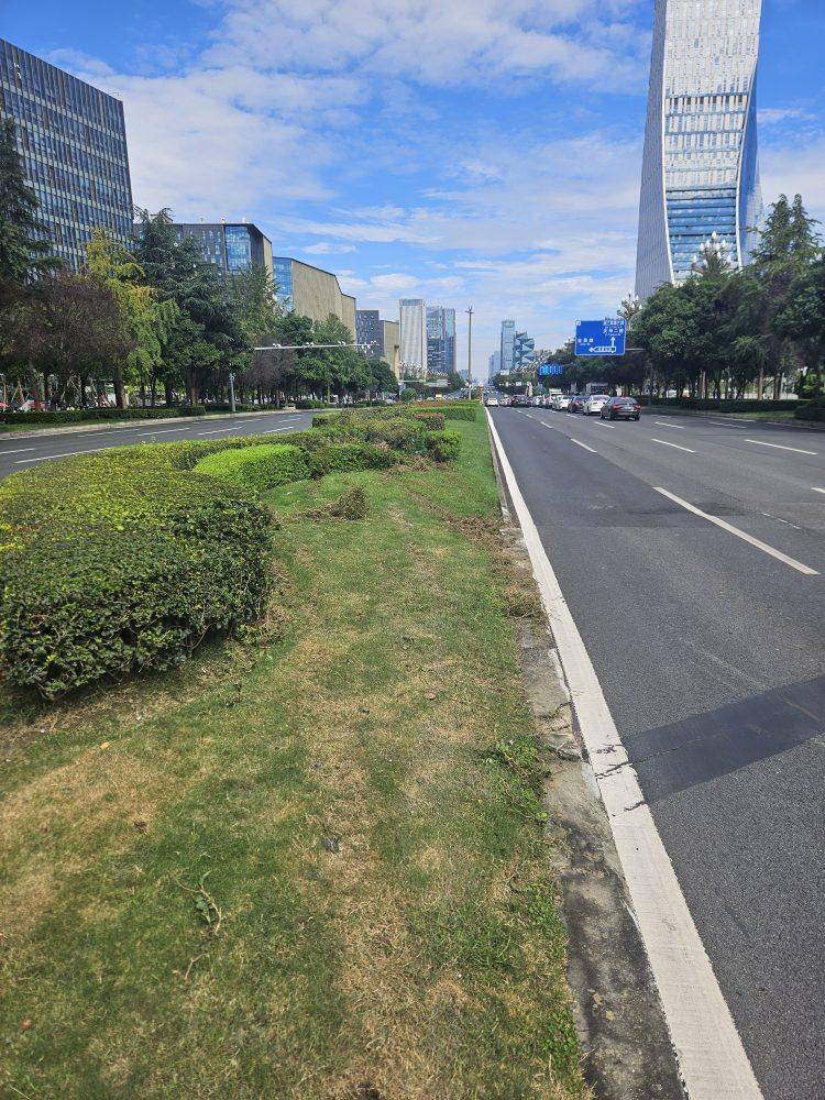 成都发生一起严重交通事故<strong></p>
<p>海南发展股票</strong>,上游新闻实地探访:燃烧留下的印记仍在