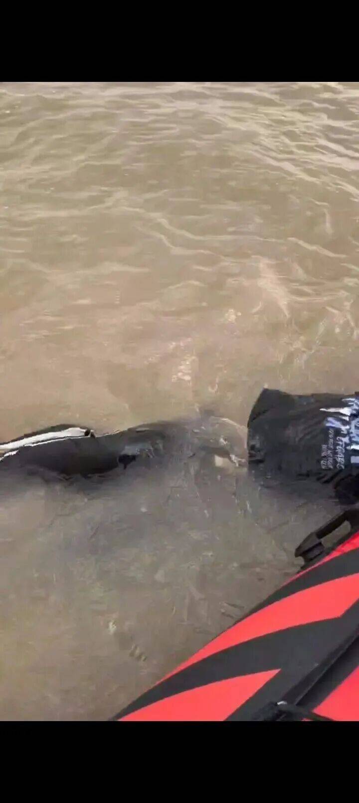 230斤重小伙酒后落水<strong></p>
<p>海南发展股票</strong>,漂浮7小时终获救……