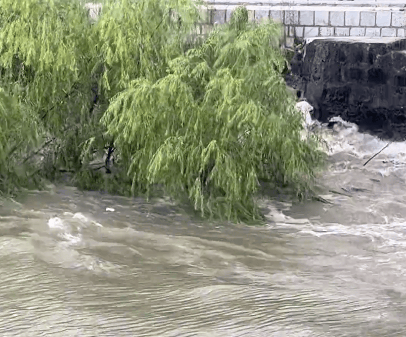 230斤重小伙酒后落水<strong></p>
<p>海南发展股票</strong>,漂浮7小时终获救……