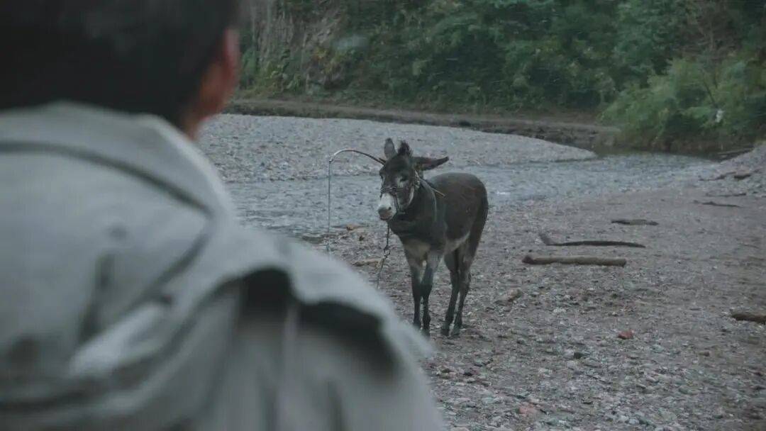 为什么说现在不缺牛马<strong></p>
<p>海南发展股票</strong>,就缺驴?