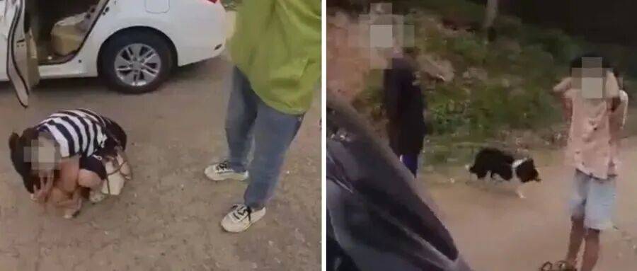 深圳一市民突遭马蜂围袭!已进入高发期<strong></p>
<p>海南发展股票</strong>,千万别招惹!