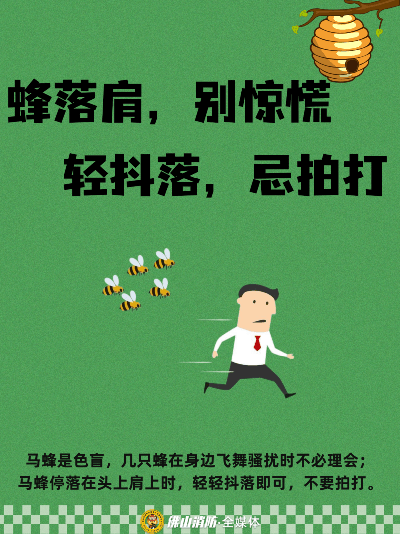 深圳一市民突遭马蜂围袭!已进入高发期<strong></p>
<p>海南发展股票</strong>,千万别招惹!