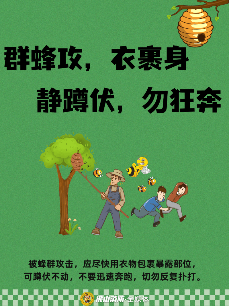 深圳一市民突遭马蜂围袭!已进入高发期<strong></p>
<p>海南发展股票</strong>,千万别招惹!