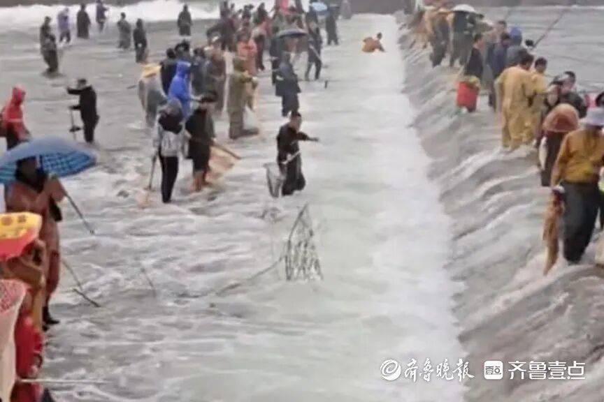 “鱼多得数不过来<strong></p>
<p>华英农业股票</strong>,一网子下去能捞好几条”济南锦绣川水库开闸放水,大量鲢鱼被冲出,工作人员:禁止捕捞!
