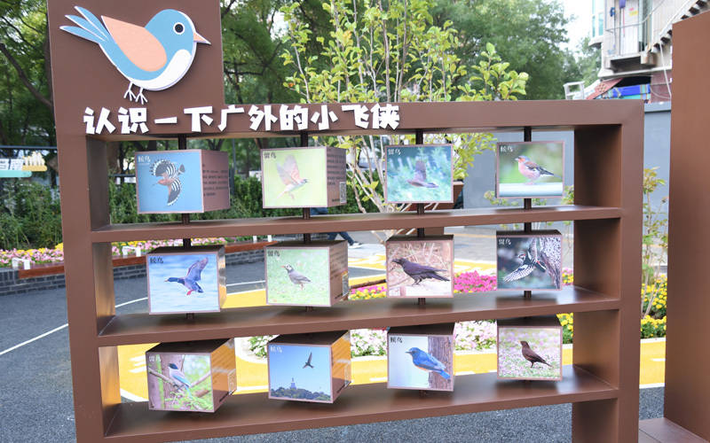 西城区广外街道:“断头路”变身口袋公园<strong></p>
<p>亨通光电股票</strong>,装满民生“微幸福”