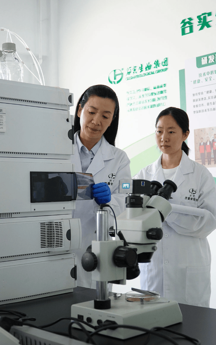 镜观·回响丨巾帼共绘新时代