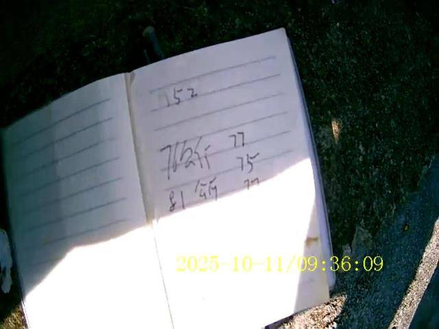 100斤玉米上秤秒变60斤?贵州一村民遭“鬼秤”骗粮!民警出手<strong></p>
<p>步步高股票</strong>,5人被拘