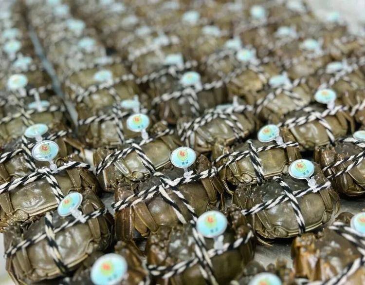 武汉江夏一地大闸蟹大量上市<strong></p>
<p>步步高股票</strong>，日产1000斤当天售完，每只螃蟹有自己的“身份证”，吃深海小黄鱼长大