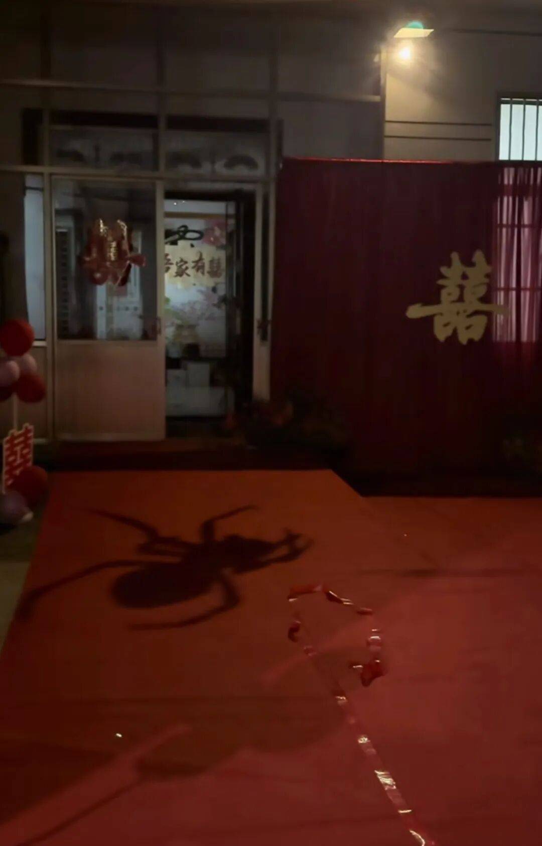 山东一新娘家凌晨出现巨大蜘蛛的倒影<strong></p>
<p>步步高股票</strong>,拍摄者:蜘蛛爬在灯泡上,网友:这才是喜结连理