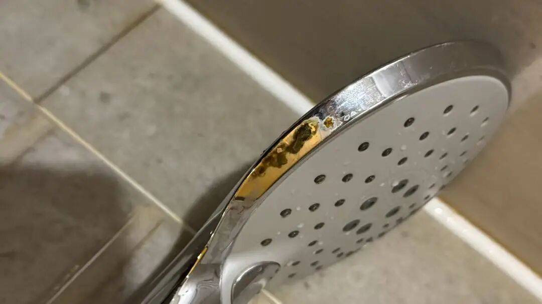 女子入住知名连锁酒店<strong></p>
<p>国泰君安股票</strong>,洗完澡发现花洒上有粪便?酒店方回应