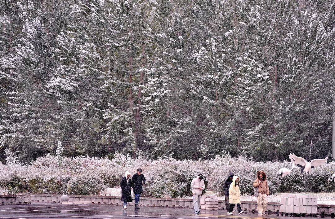 今年冬天是“超级冷冬”<strong></p>
<p>博通股票</strong>?最新回应