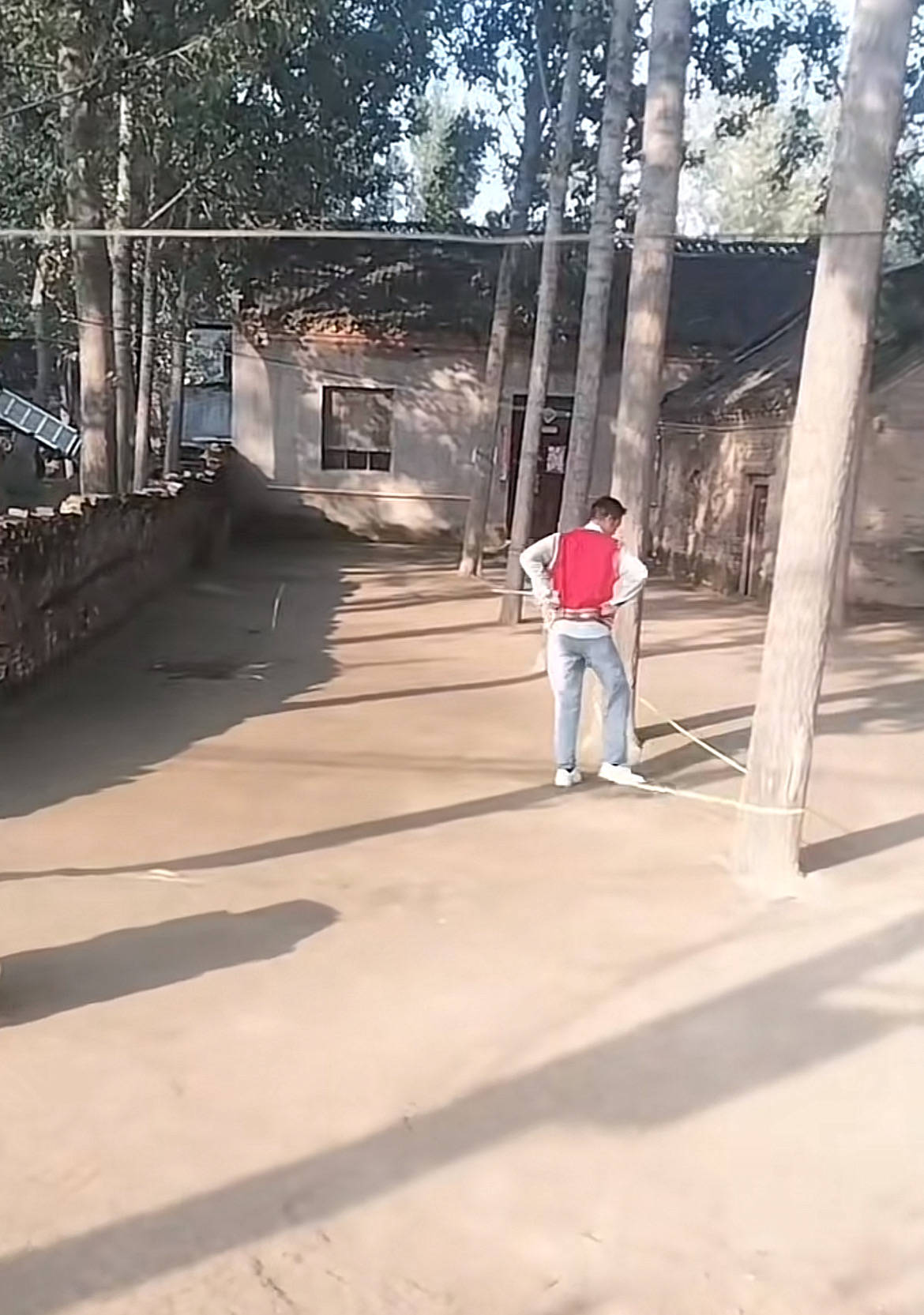 河南一大爷的院子因干净成网红打卡地<strong></p>
<p>东方园林股票</strong>，网友：像极了小时候家的样子，想拖鞋光脚丫子走