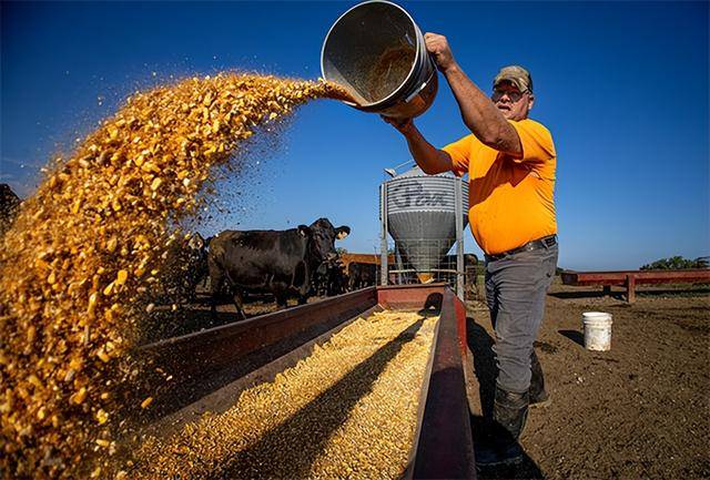 又输给了李成钢<strong></p>
<p>广电运通股票</strong>，贝森特承诺：美方不再考虑对华加征100%关税