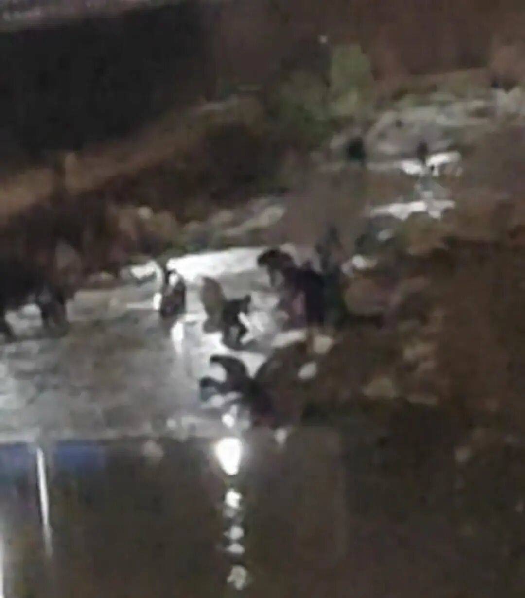 “一盆出5克多”<strong></p>
<p>国盾量子股票</strong>，多人凌晨下河淘金！当地警方回应