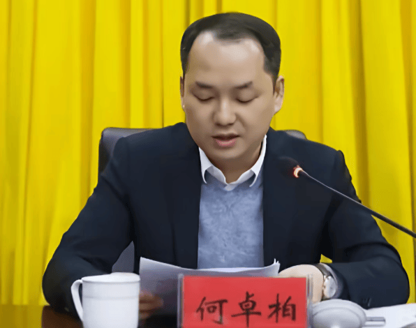 何卓柏<strong></p>
<p>国盾量子股票</strong>，严重违纪违法