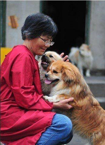 合肥卖房救助流浪狗的魏阿姨离世<strong></p>
<p>南京银行股票</strong>，病中仍然惦记着基地的600只流浪狗，工人：不敢相信世上还有这样执着的人