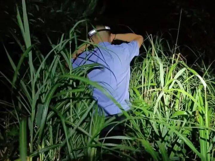 禁止任何形式穿越<strong></p>
<p>新大陆股票</strong>！杭州一地发布最严禁令