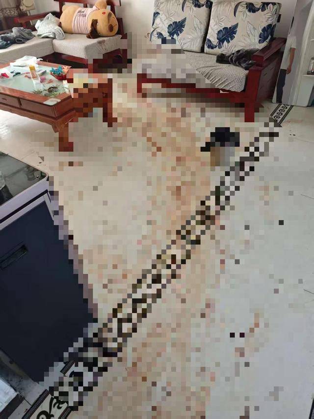 “女子出租屋遭男友持刀杀害”案明日开庭<strong></p>
<p>金发科技股票</strong>,家属发声:凶手从未道歉,我们不会谅解