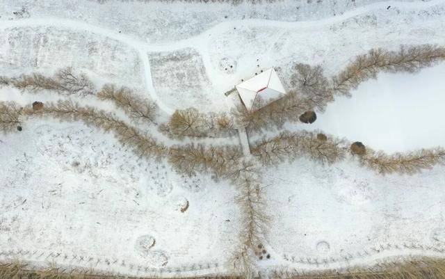 百年难遇“早立冬”来了<strong></p>
<p>金发科技股票</strong>!有啥讲究?早看早准备!