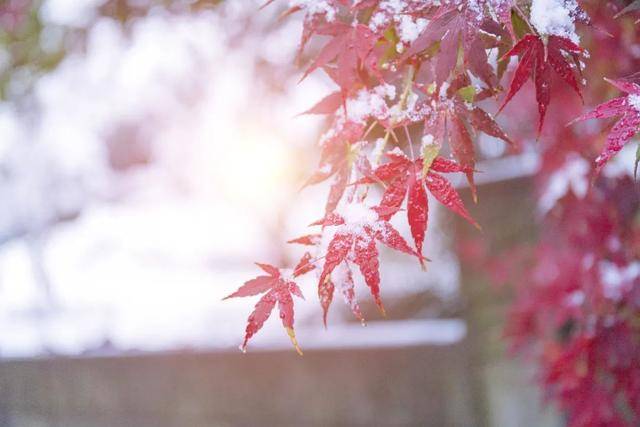 百年难遇“早立冬”来了<strong></p>
<p>金发科技股票</strong>!有啥讲究?早看早准备!